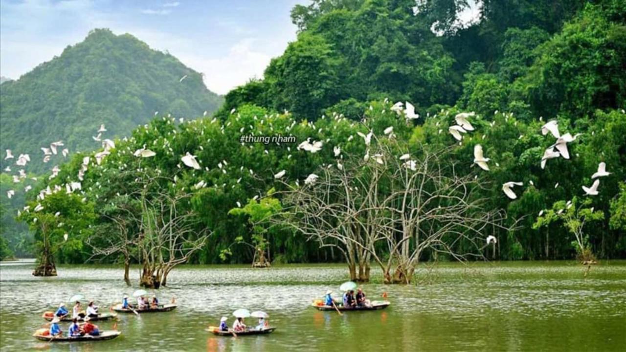 Trang An Freedom Hood Vandrehjem Ninh Binh Eksteriør billede
