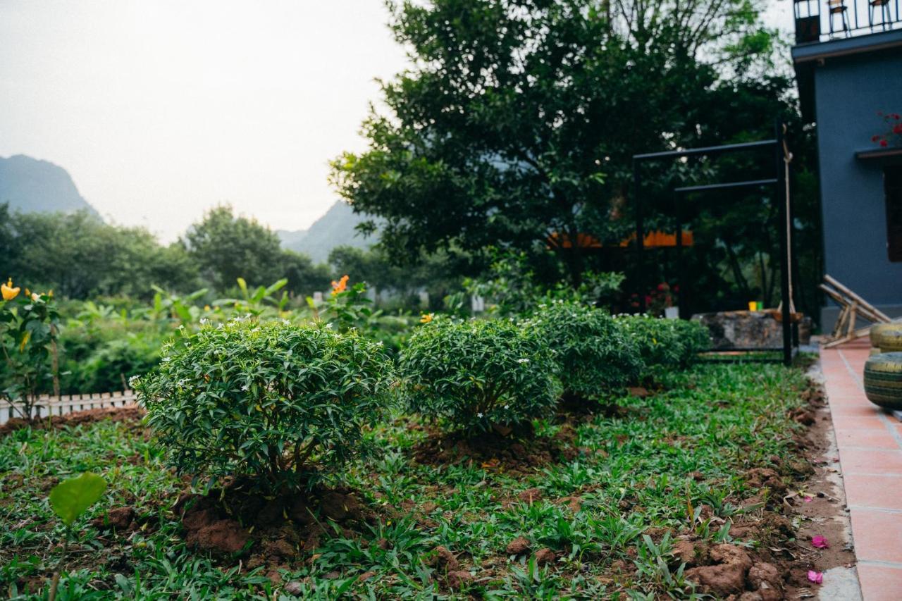 Trang An Freedom Hood Vandrehjem Ninh Binh Eksteriør billede